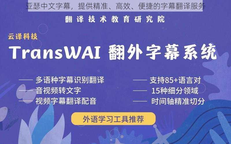 亚瑟中文字幕，提供精准、高效、便捷的字幕翻译服务