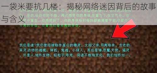 一袋米要抗几楼：揭秘网络迷因背后的故事与含义