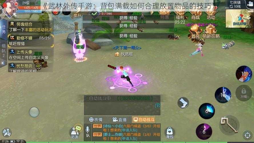 《武林外传手游：背包满载如何合理放置物品的技巧》