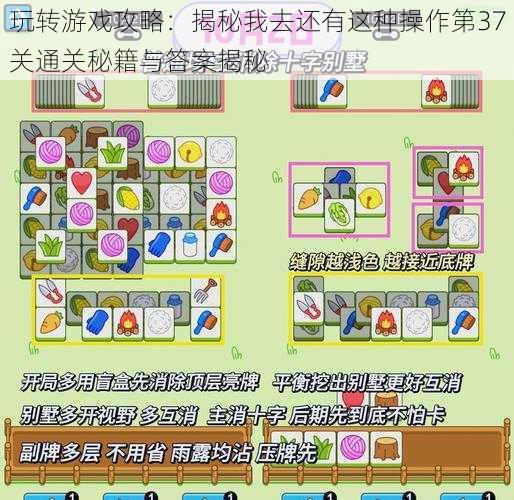 玩转游戏攻略：揭秘我去还有这种操作第37关通关秘籍与答案揭秘