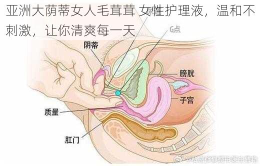 亚洲大荫蒂女人毛茸茸 女性护理液，温和不刺激，让你清爽每一天