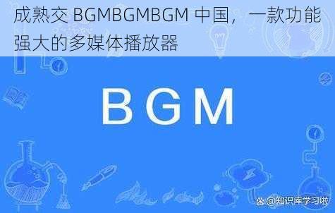 成熟交 BGMBGMBGM 中国，一款功能强大的多媒体播放器