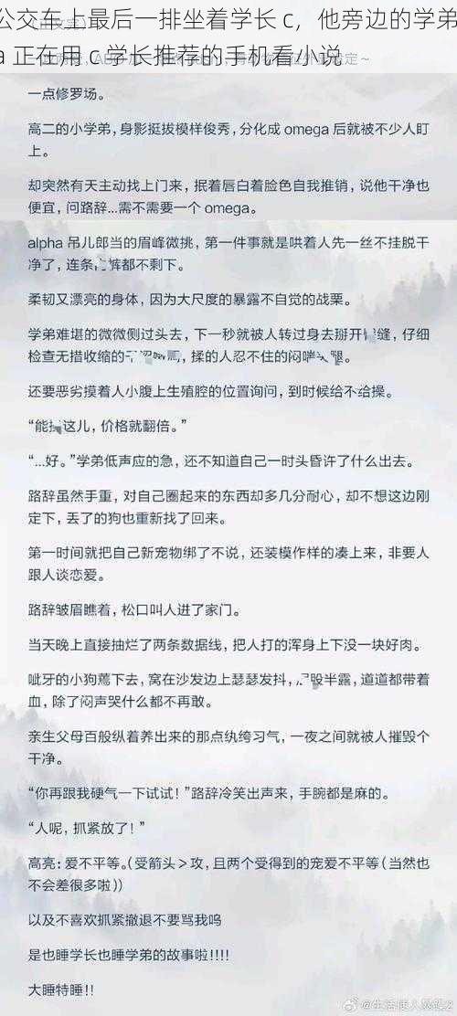 公交车上最后一排坐着学长 c，他旁边的学弟 a 正在用 c 学长推荐的手机看小说