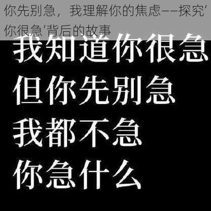 你先别急，我理解你的焦虑——探究‘你很急’背后的故事