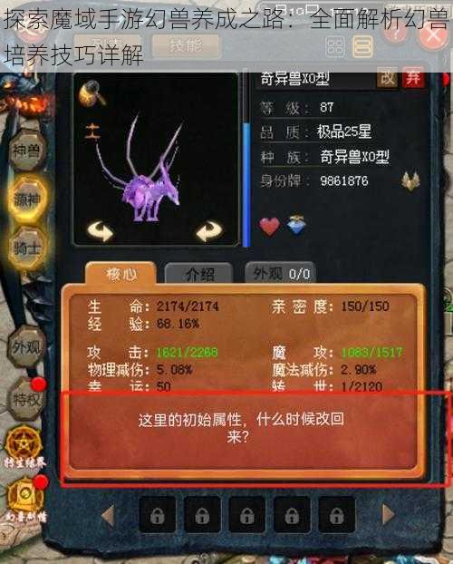 探索魔域手游幻兽养成之路：全面解析幻兽培养技巧详解