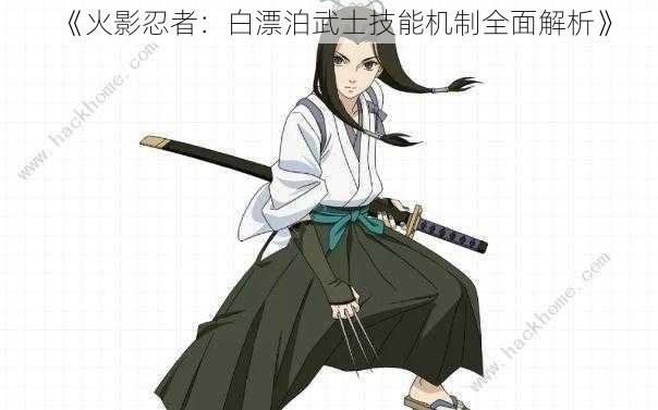 《火影忍者：白漂泊武士技能机制全面解析》