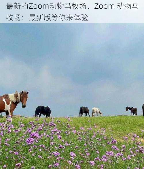 最新的Zoom动物马牧场、Zoom 动物马牧场：最新版等你来体验