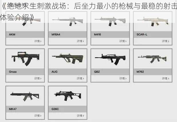 《绝地求生刺激战场：后坐力最小的枪械与最稳的射击体验介绍》