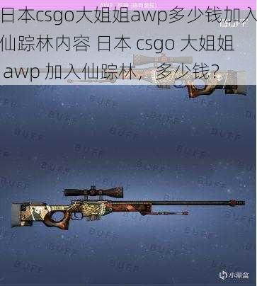 日本csgo大姐姐awp多少钱加入仙踪林内容 日本 csgo 大姐姐 awp 加入仙踪林，多少钱？