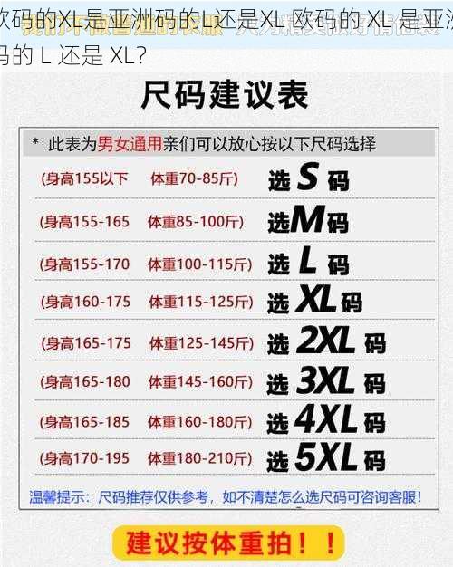 欧码的XL是亚洲码的L还是XL 欧码的 XL 是亚洲码的 L 还是 XL？