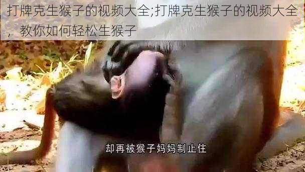 打牌克生猴子的视频大全;打牌克生猴子的视频大全，教你如何轻松生猴子