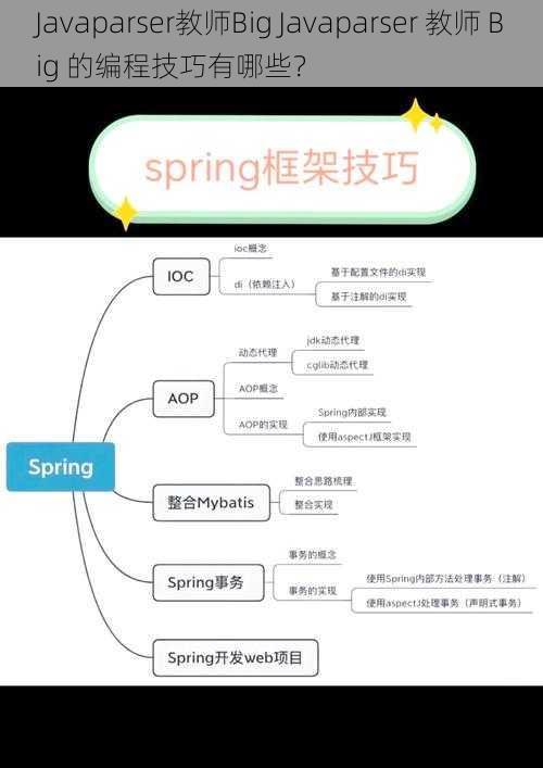 Javaparser教师Big Javaparser 教师 Big 的编程技巧有哪些？