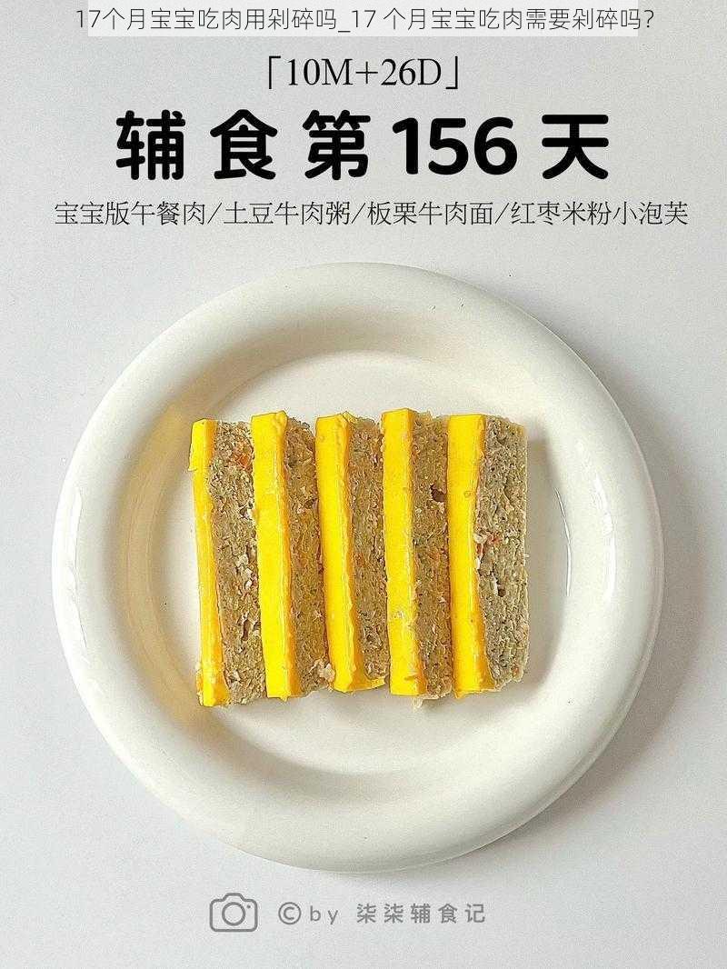 17个月宝宝吃肉用剁碎吗_17 个月宝宝吃肉需要剁碎吗？