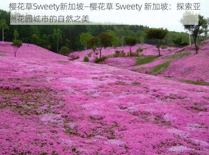 樱花草Sweety新加坡—樱花草 Sweety 新加坡：探索亚洲花园城市的自然之美