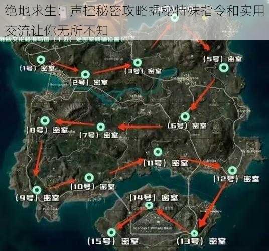 绝地求生：声控秘密攻略揭秘特殊指令和实用交流让你无所不知