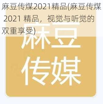 麻豆传煤2021精品(麻豆传煤 2021 精品，视觉与听觉的双重享受)