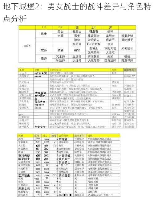 地下城堡2：男女战士的战斗差异与角色特点分析