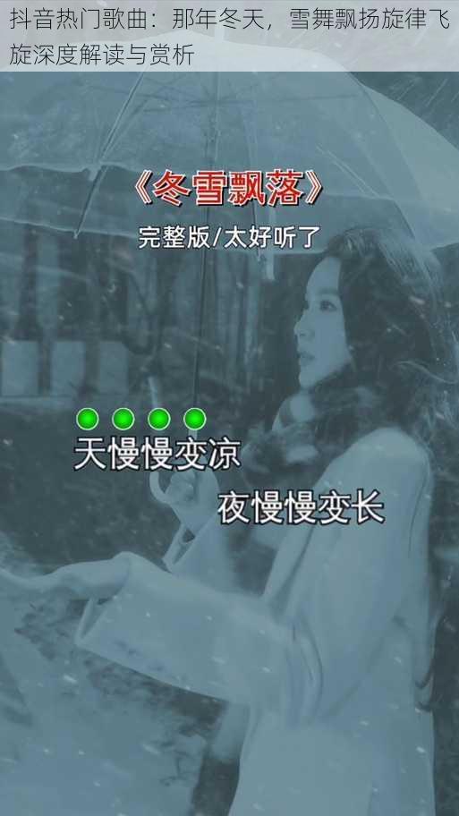 抖音热门歌曲：那年冬天，雪舞飘扬旋律飞旋深度解读与赏析