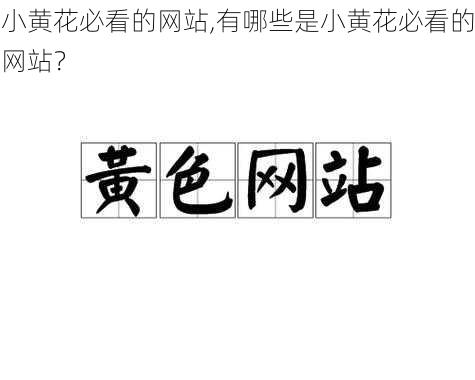 小黄花必看的网站,有哪些是小黄花必看的网站？