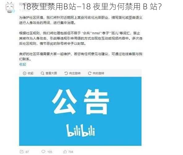 18夜里禁用B站—18 夜里为何禁用 B 站？