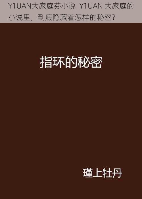 Y1UAN大家庭芬小说_Y1UAN 大家庭的小说里，到底隐藏着怎样的秘密？