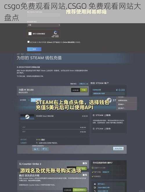 csgo免费观看网站,CSGO 免费观看网站大盘点