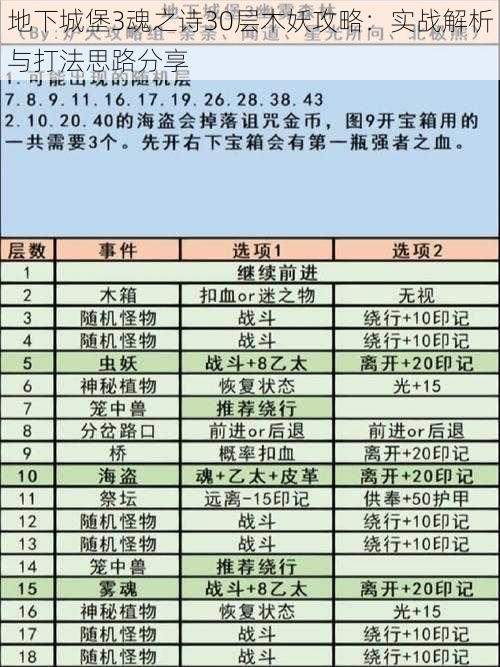 地下城堡3魂之诗30层木妖攻略：实战解析与打法思路分享