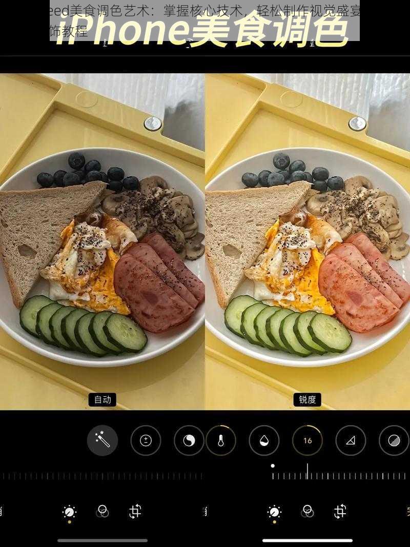 Snapseed美食调色艺术：掌握核心技术，轻松制作视觉盛宴的佳肴图片修饰教程