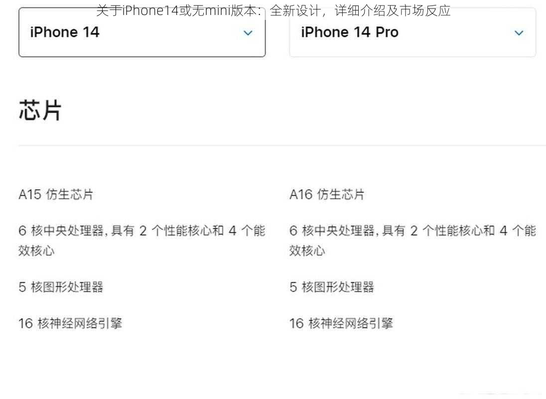 关于iPhone14或无mini版本：全新设计，详细介绍及市场反应