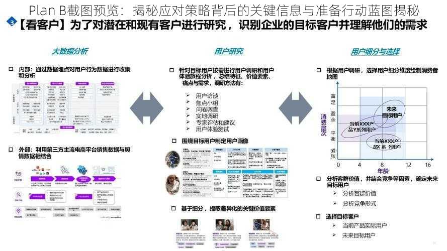 Plan B截图预览：揭秘应对策略背后的关键信息与准备行动蓝图揭秘