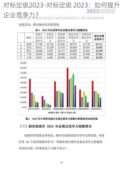 对标定级2023-对标定级 2023：如何提升企业竞争力？