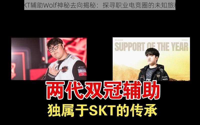 SKT辅助Wolf神秘去向揭秘：探寻职业电竞圈的未知旅程