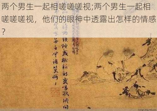 两个男生一起相嗟嗟嗟视;两个男生一起相嗟嗟嗟视，他们的眼神中透露出怎样的情感？