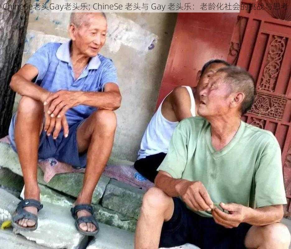 ChineSe老头Gay老头乐; ChineSe 老头与 Gay 老头乐：老龄化社会的挑战与思考