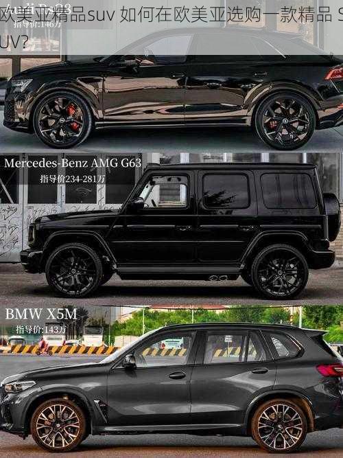 欧美亚精品suv 如何在欧美亚选购一款精品 SUV？