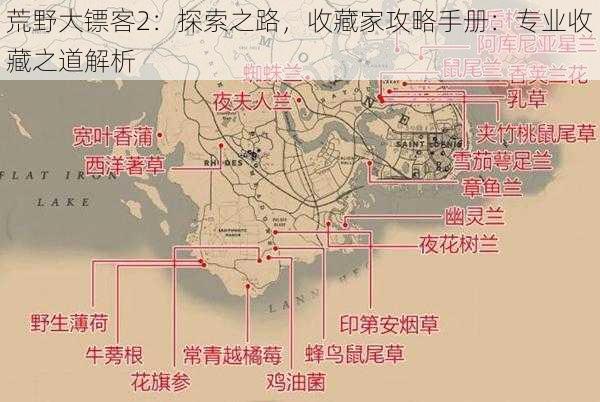 荒野大镖客2：探索之路，收藏家攻略手册：专业收藏之道解析