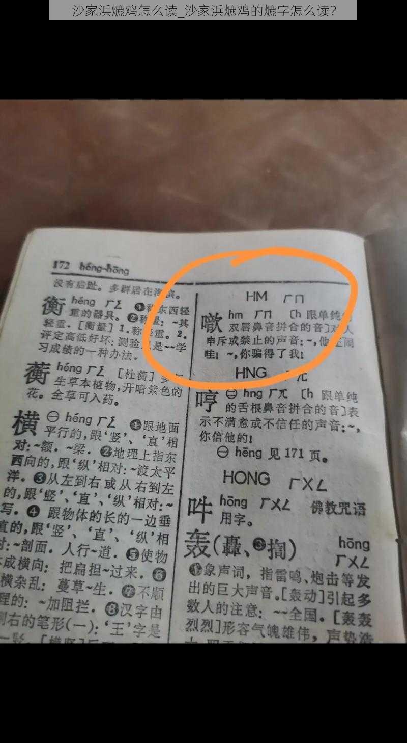 沙家浜爊鸡怎么读_沙家浜爊鸡的爊字怎么读？