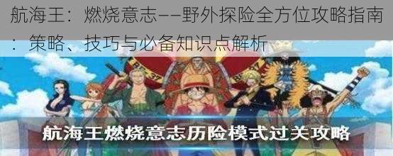 航海王：燃烧意志——野外探险全方位攻略指南：策略、技巧与必备知识点解析