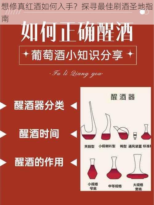 想修真红酒如何入手？探寻最佳刷酒圣地指南