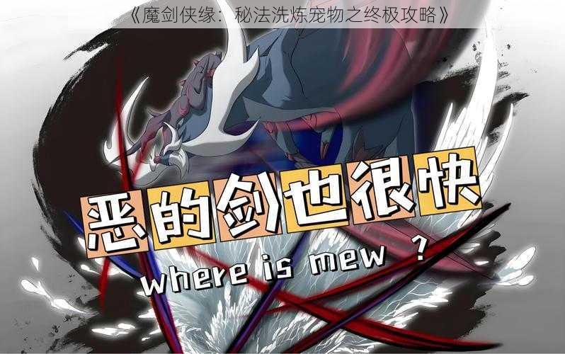 《魔剑侠缘：秘法洗炼宠物之终极攻略》