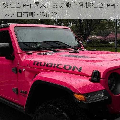 桃红色jeep界人口的功能介绍,桃红色 jeep 界人口有哪些功能？