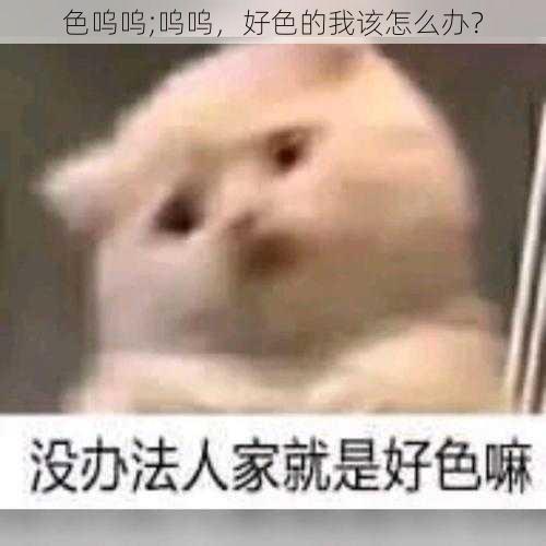 色呜呜;呜呜，好色的我该怎么办？