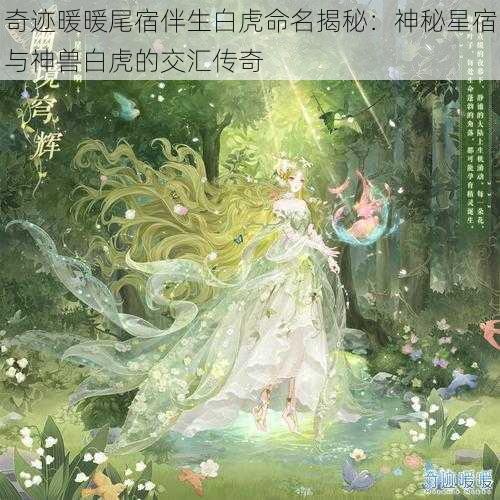 奇迹暖暖尾宿伴生白虎命名揭秘：神秘星宿与神兽白虎的交汇传奇