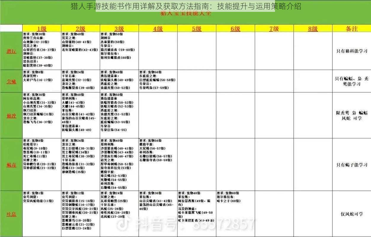 猎人手游技能书作用详解及获取方法指南：技能提升与运用策略介绍