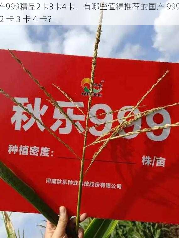 国产999精品2卡3卡4卡、有哪些值得推荐的国产 999 精品 2 卡 3 卡 4 卡？