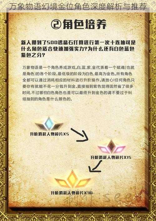 万象物语幻境金位角色深度解析与推荐