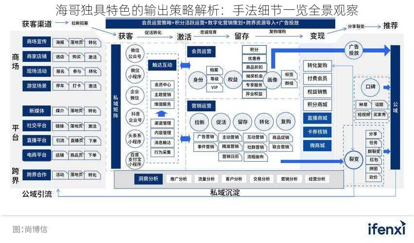 海哥独具特色的输出策略解析：手法细节一览全景观察