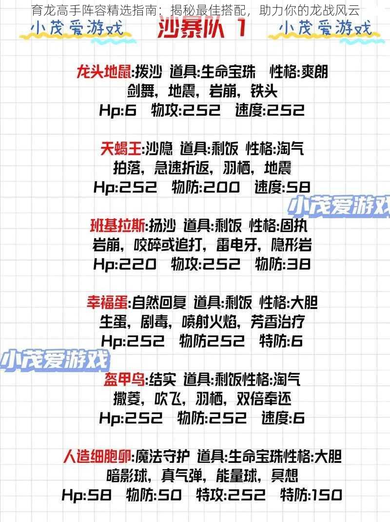 育龙高手阵容精选指南：揭秘最佳搭配，助力你的龙战风云