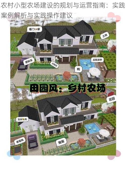 农村小型农场建设的规划与运营指南：实践案例解析与实践操作建议