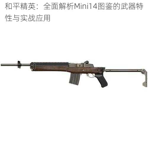 和平精英：全面解析Mini14图鉴的武器特性与实战应用